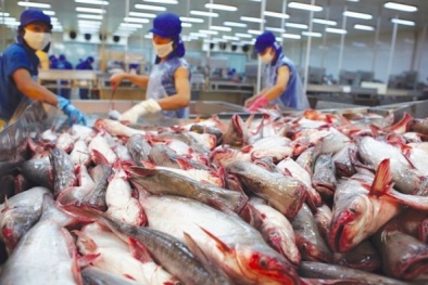 Doanh nghiệp thủy sản không ngừng nâng cao chất lượng, tiến sâu vào thị trường Trung Quốc