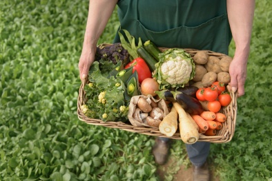 Tiềm năng phát triển chuỗi cung ứng ‘từ trang trại đến bàn ăn’ 