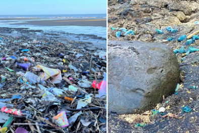 Phát hiện thêm loại ô nhiễm nhựa mới: Mối đe dọa cho môi trường ven biển