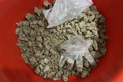 Triệt phá đường dây mua bán ma túy 'đông trùng' tại TP. Hồ Chí Minh