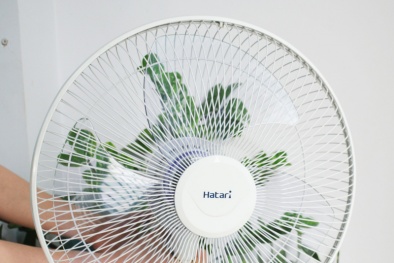 Cách sử dụng quạt điện an toàn trong mùa hè