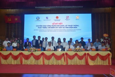 Chuyển giao công nghệ trồng sâm Hàn Quốc cho tỉnh Điện Biên