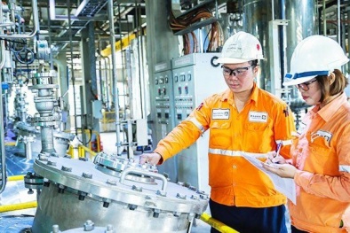 Thực hiện chính sách trọng dụng nhân lực chất lượng cao ở Việt Nam hiện nay