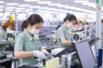 Hàng hóa Việt Nam xuất khẩu sang thị trường châu Mỹ cần lưu ý gì?