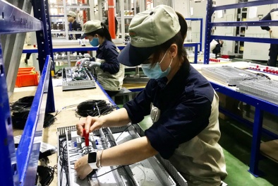 Yếu tố quan trọng góp phần tăng năng suất chất lượng sản phẩm