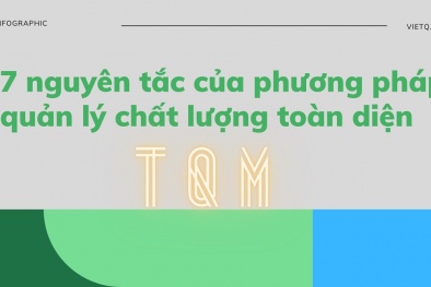 Infographic: 7 nguyên tắc của phương pháp quản lý chất lượng toàn diện