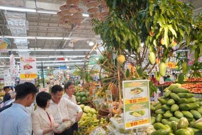 Nông sản an toàn Sơn La hấp dẫn người tiêu dùng Hà Nội