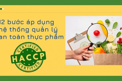 Infographic: 12 bước áp dụng hệ thống quản lý an toàn thực phẩm HACCP