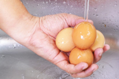 Sai lầm tai hại khi rửa trứng trước khi bảo quản trong tủ lạnh