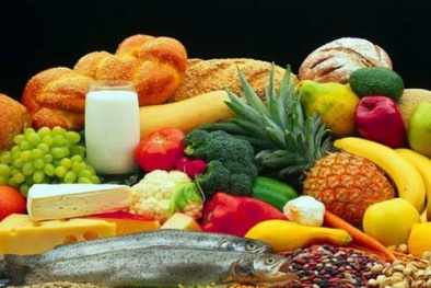 Đẩy mạnh nghiên cứu ứng dụng khoa học công nghệ về dinh dưỡng phù hợp với người Việt Nam