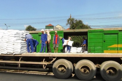 Siết chặt đấu tranh chống buôn lậu, gian lận thương mại, hàng giả trên các tuyến giao thông