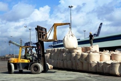 Nửa đầu năm 2022, xuất khẩu xi măng gặp khó