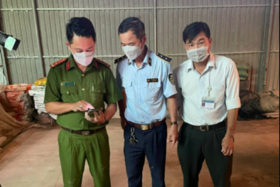 Xử phạt nhiều đơn vị kinh doanh phân bón giả, kém chất lượng