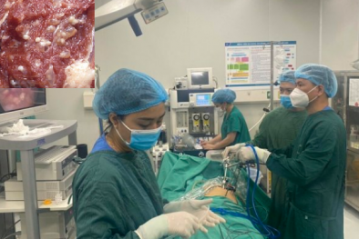 Cảnh báo: Có thể thủng ruột nếu ăn thịt lợn nhiễm bệnh