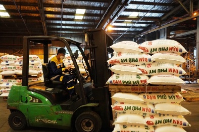 Nhà máy Đạm Phú Mỹ đạt kỷ lục vận hành liên tục dài ngày nhất