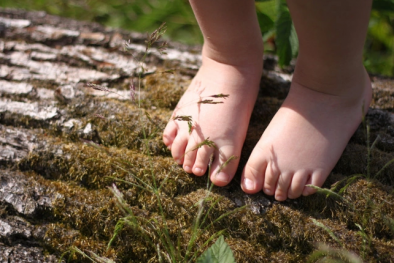 Cảnh báo: Nhiều chất độc trong đất có thể gây hại cho tim, ung thư