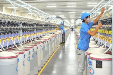 Mô hình điểm áp dụng ISO 14001:2010 tại Công ty Cổ phần Vĩnh phú