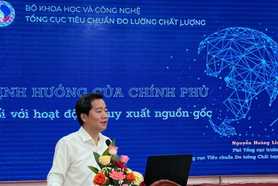Thừa Thiên Huế: Triển khai áp dụng TXNG thống nhất và đồng bộ tại các doanh nghiệp