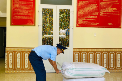 Cảnh báo nguy cơ đến sức khỏe khi sử dụng tam thất kém chất lượng