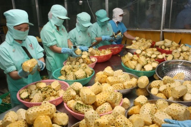 Vượt qua các rào cản kỹ thuật, mở rộng thị trường nông sản Việt