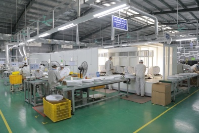 Hoạt động xuất khẩu bứt phá tại nhiều thị trường đòi hỏi tiêu chuẩn khắt khe 