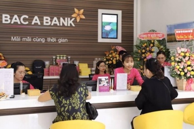 Bac A Bank báo lợi nhuận 6 tháng tăng nhẹ, hoàn thành 43,5% kế hoạch năm