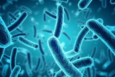 Phát triển loại kháng sinh tổng hợp mới có thể tiêu diệt cả vi khuẩn kháng thuốc