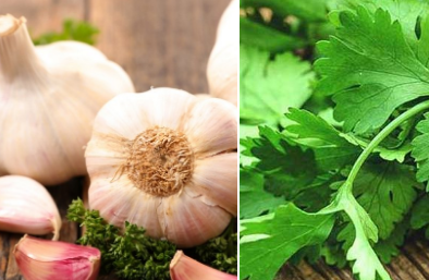 Thực phẩm có khả năng thải độc tố kim loại ra khỏi cơ thể hiệu quả