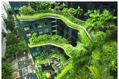 Cần sớm đồng bộ, xây dựng các giải pháp bảo vệ không gian xanh đô thị