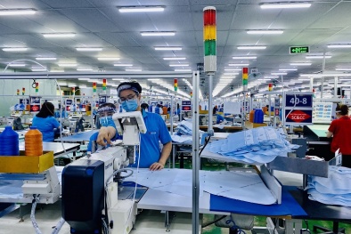 Chuyển đổi số trong khu vực doanh nghiệp ở Việt Nam và một số khuyến nghị chính sách