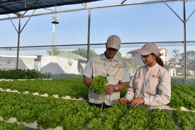 Áp dụng mô hình kinh tế tuần hoàn: Nhận diện ‘điểm nghẽn’ cần tháo gỡ 