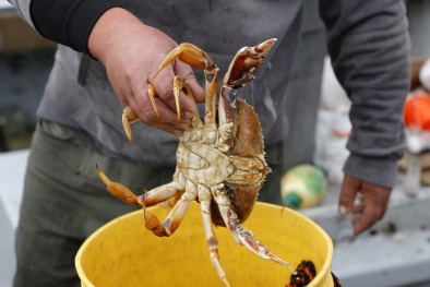 Hải sản có thể làm tăng nguy cơ phát triển khối u ác tính