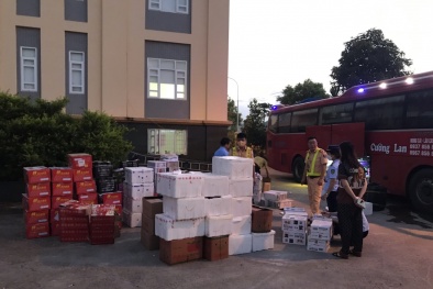 Quảng Ninh thu giữ lượng lớn hoa quả, thực phẩm không rõ nguồn gốc