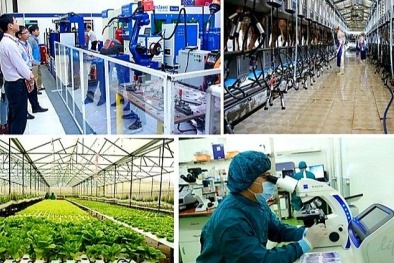 Phát triển nguồn nhân lực khoa học và công nghệ ở Việt Nam thích ứng với bối cảnh mới