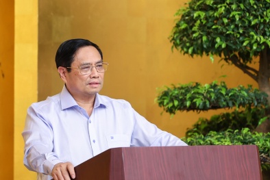 Huy động, sử dụng hiệu quả các nguồn lực, thúc đẩy phục hồi nhanh và phát triển bền vững