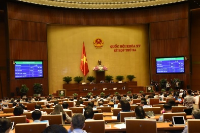 Đưa hệ thống sở hữu trí tuệ của Việt Nam lên chuẩn mực thế giới