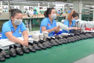 Ngành da giày đáp ứng tiêu chuẩn, tiến sâu vào thị trường EU