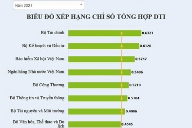 BHXH Việt Nam xếp vị trí Top 3 Bảng xếp hạng 17 bộ, ngành có cung cấp dịch vụ công