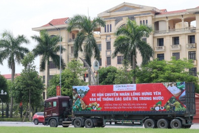 Xúc tiến tiêu thụ nhãn lồng Hưng Yên mùa vụ năm 2022