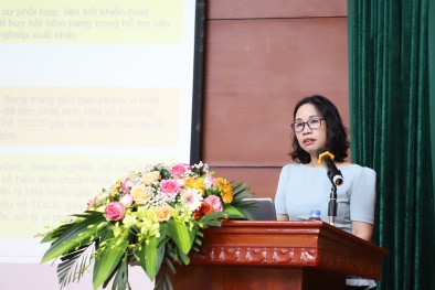 Khắc phục bất cập, hạn chế trong công tác triển khai thi hành Luật TC&QCKT