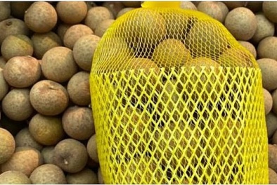 Nhãn Việt Nam chinh phục thị trường Úc