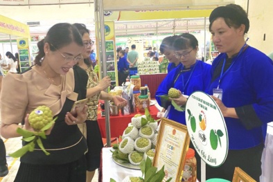 Quảng bá, kết nối cung cầu trái na và nông sản Lạng Sơn đến người dân Hà Nội