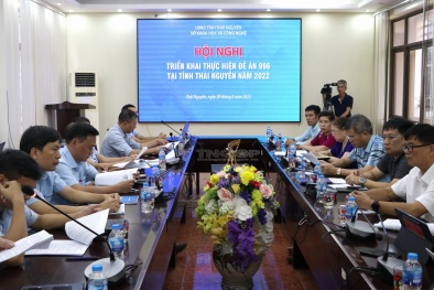 Triển khai Đề án 996: Thái Nguyên lựa chọn được 3 doanh nghiệp tiêu biểu