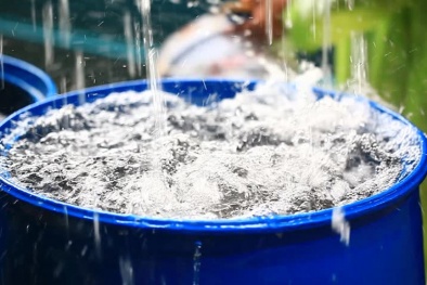 Nước mưa nhiễm hóa chất vĩnh viễn rất nguy hại sức khỏe