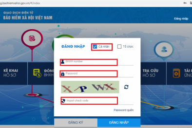BHXH Việt Nam hướng dẫn cách thay đổi, cập nhật số điện thoại, email trên ứng dụng VssID