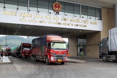 Doanh nghiệp nào phải đăng ký xuất khẩu sang thị trường Trung Quốc?