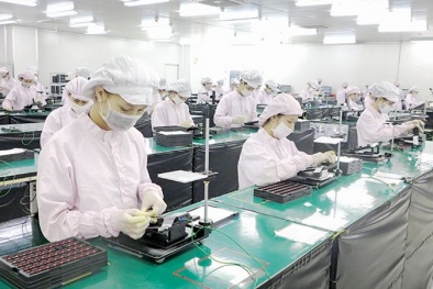 Công nghiệp chế biến chế tạo - ngành xương sống của nền kinh tế