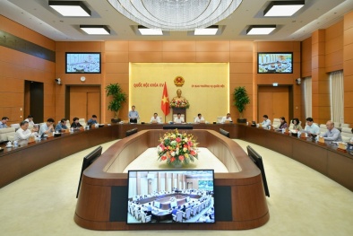 Ủy ban Thường vụ Quốc hội cho ý kiến về Dự án Luật Bảo vệ quyền lợi người tiêu dùng (sửa đổi)