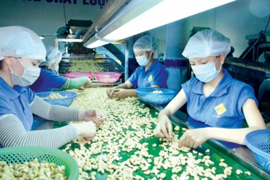 Quan hệ kinh tế Việt Nam – Italia: Tận dụng lợi thế từ EVFTA phát triển thương mại, đầu tư