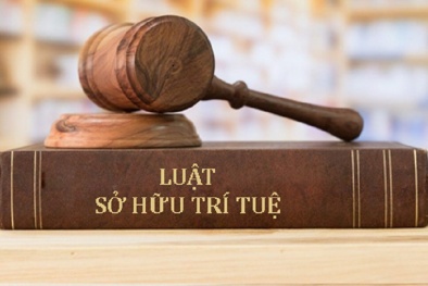 Luật SHTT sửa đổi: Nhiều điểm mới về bảo hộ sáng chế, kiểu dáng công nghiệp